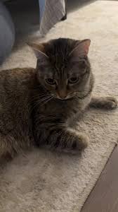 Bailey Jetton (@baileyjetton)