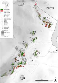 Image result for Balthasaria schliebenii