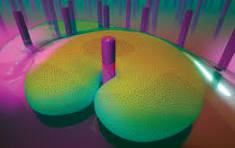 Soft Matter RSC Journal Cover, Chrys