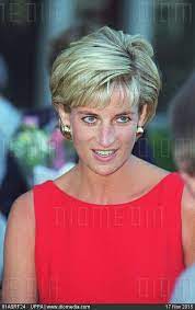 Pin By Patricia B Newman On Diana Frances Spencer Princess Diana Pictures Princes Diana Lady Diana