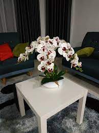 Jadi apa kata, dalam merias. Bunga Orkid Gubah Orkid Terkini Berminat Boleh Pm Facebook