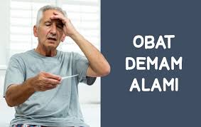 Meski demikian, perlu diketahui bahwa beberapa cara menghilangkan bisul dengan cepat secara alami. Aman Dan Berkhasiat Ini 8 Obat Alami Yang Ampuh Untuk Menurunkan Demam