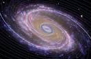 Resultado de imagem para spirals in nature