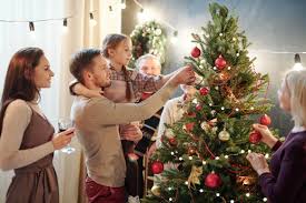 Découvrez notre collection hiver : Les Ventes De Sapins De Noel Sont Autorisees