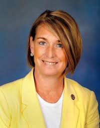 DuPage County Board incumbents gearing up for primary competition