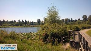 The delicious flavor demands nothing less! Larsen Lake Blueberry Farm Bellevue Attractions Events Happenings Bellevue Com