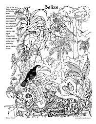 A selection of jungle coloring pages featuring lots of different kinds of animals and plants. Animal Habitat Coloring Pages Google Search Rainforest Coloring Pages Rainforest Animals Animal Coloring Pages