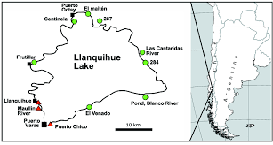 Paris.cl terrazas / parís, formerly known as almacenes parís (paris department stores), is a chain of department stores in chile, owned by multinational cencosud. Morphological And Molecular Identification Of The Invasive Freshwater Snail Physa Acuta Gastropoda Physidae Into Llanquihue Lake Chilean Patagonia