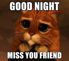 I never go out i'm tired of being home every weekend. friends invite me out me i'm sorry i'm busy i can't. good morning i love you. 38) sweet funny goodnight memes images. Good Night Images To Sleep Well