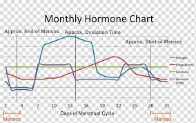 Menstrual Cycle Menstruation Premenstrual Syndrome Hormone