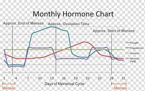 menstrual cycle menstruation premenstrual syndrome hormone