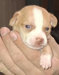 Homeboys in a photo together