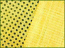 Old rattan weave texture, traditional weave rattan texture background. Sheet Cane Or Rattan Webbing And Woven Cane
