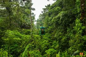 In costa rica, tropical rainforests get over 200 inches of rain every year! Rainforest Adventures Costa Rica Atlantic Adventure Nature