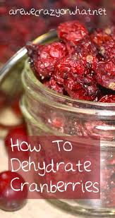 How To Dehydrate Cranberries Food Raw Food Recipes Dehydrator