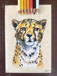 Drawing with pencils is one of them. Drew One Of My Favorite Animals With Prismacolors Hope You Like It Drawing