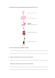 Maybe you would like to learn more about one of these? Cell Organisation Slides And Worksheet Gcse Biology Aqa Teaching Resources