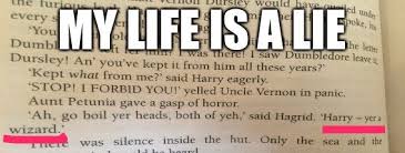 You're a wizard harry (harry potter) (6). Pin On Harry Potter