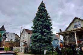 How Many Lights Are On The Chicago Christmas Tree 2021 Chicago S 2021 Christmas Tree Lighting Ceremony Returns To In Person Event At Millennium Park Chicago Sun Times