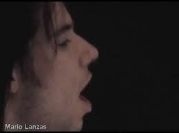 Dinosaur Culture Evolution.