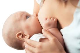 27 Alimentos Beneficiosos Para La Madre Y El Bebe Durante La Lactancia Materna
