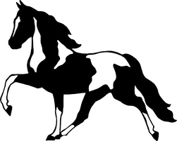 Tennessee walkers are one of the smoothest riding horses in the world. Spotted Saddle Horse Horse Silhouette Walking Horse Tennessee Walker Horse