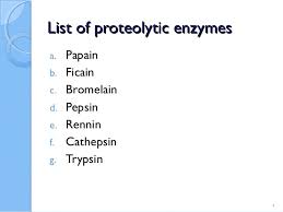 Proteases, as also called peptidases or proteinases, are enzymes that perform proteolysis. Protease Enzymes