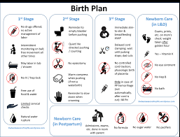 New Birth Plan Template Abby Block Cd Dona Cbc