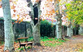 Le Jardin Des Remparts Un Coin De Verdure Longtemps Reste Secret Jardins Verdure