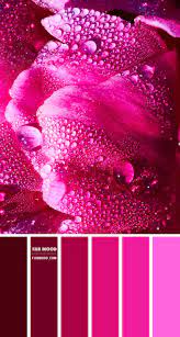 However, certain colors such as pink, yellow and white are inherently light colors. Dark Pink And Magenta Colour Palette 85 1 Fab Mood Wedding Colours Wedding Themes Wedding Colour Palettes