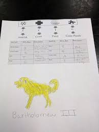 As there is only one x gene in male, to express recessive he only. 3rd Nine Weeks Genetics Heredity Mrs Lackey S Science Class