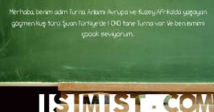 Turna Isminin Anlami Nedir Turna Isminin Analizi Siiri Arapcasi Ve Kokeni