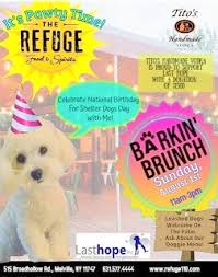 Join an adoptive parent group to discuss the obstacles and ways to overcome them. Last Hope Animal Rescue Since 1981 Last Hope Has Been Dedicated To The Rescue And Rehabilitation Of Stray Abandoned And Death Due Pound Animals