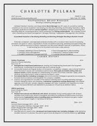 Resume Writers In New York City Resume Resume Sample 2696