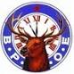BINGO @ SEBASTIAN ELKS LODGE 2714 event image