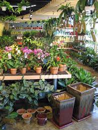 Gardening Tips Joe Carmack Of Urban Garden Centerwashington Dc Garden Center Displays Urban Garden Design Urban Garden