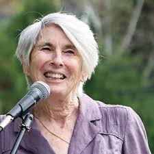 Honouring victims of domestic homicide in Bracebridge as numbers rise in  Canada