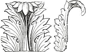 Image result for Acanthus