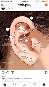 Pin By Lil Baby Jo On Tattoos Earings Piercings Types Of Ear Piercings Cute Ear Piercings