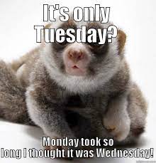 We did not find results for: Tuesday Funny Work Quotes Quotesgram