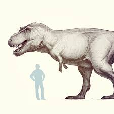 Frederic Wierum V Instagram The Only Tyrant We Love Tyrannosaurus Trex Dinosaur Dinosaur Tyrannosaurus Jurassic World