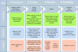 Image result for Group B Streptococcus Prophylaxis