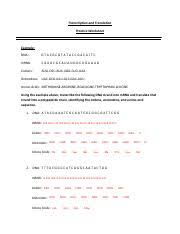 Includes transcription of dna and translation of mrna. Transcription And Translation Key Transcription And Translation Practice Worksheet Example Dna Mrna Codons Aug Cgc Aua Ugg Cug Uaa Anticodons Course Hero