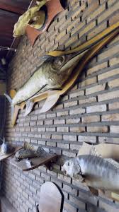 ☀️VERÃO☀️ na Confraria do Peixe!, Aproveite suas férias e o clima de praia  pra visitar e conhecer nosso restaurante., De terça a domingo te esperamos  com o melhor almoço da cidade até as 14h., 📍Rua ...