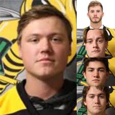 Alliston Hornets Hockey