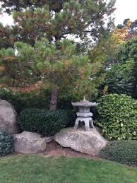 Photo8 Jpg Bild Von Japanischer Garten Freiburg Tripadvisor