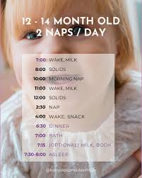 🍼 12-14 Month-Old Sleep Schedule: The 2-Nap Sweet Spot! 😴✨ At 12 months,  your baby is active, curious, and full of energy! To keep their sleep on  track and avoid the 2-to-1