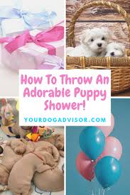 Comprehensive List Of What To Think About In 2020 Puppy Shower Party Puppy Shower Dog Baby Shower