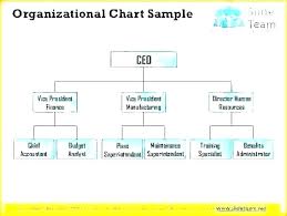 Non Profit Organizational Chart Template Jasonkellyphoto Co
