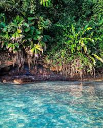 No importa si viajas con amigos, familiares o hasta con mascotas, las casas de vacaciones de vrbo. Viaggi E Crociere Per Sub Costa Rica Profondo Blu
